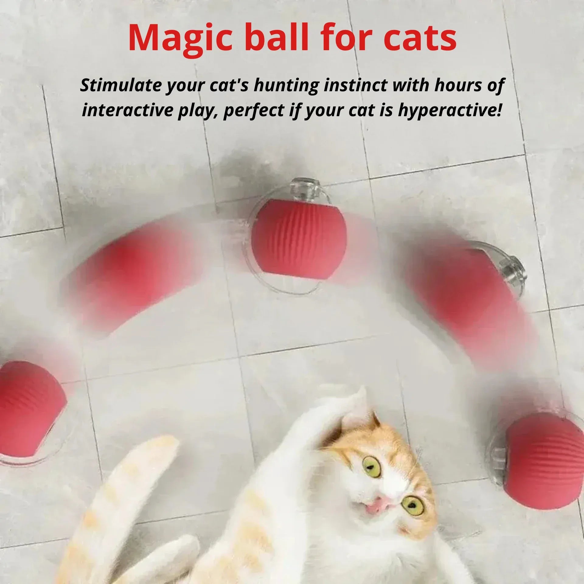 Magic cat ball