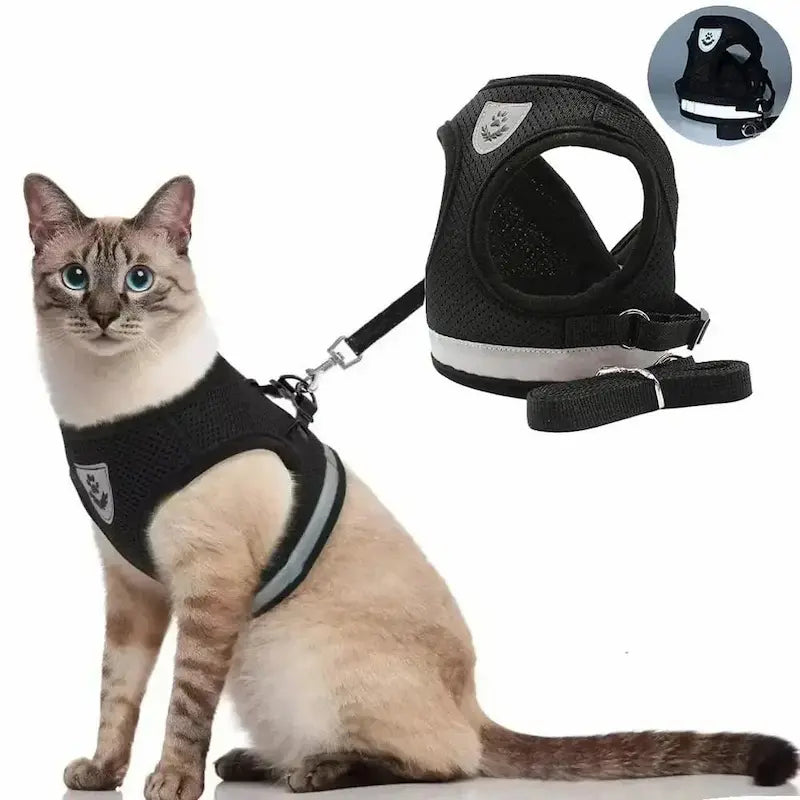 Mesh vest cat harness