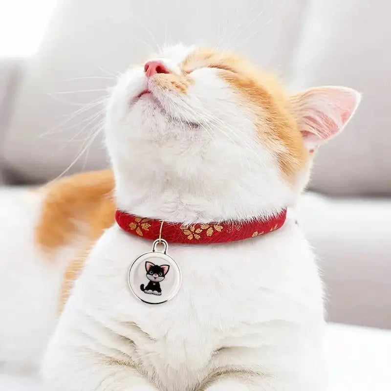 Mini GPS Tag for Cats