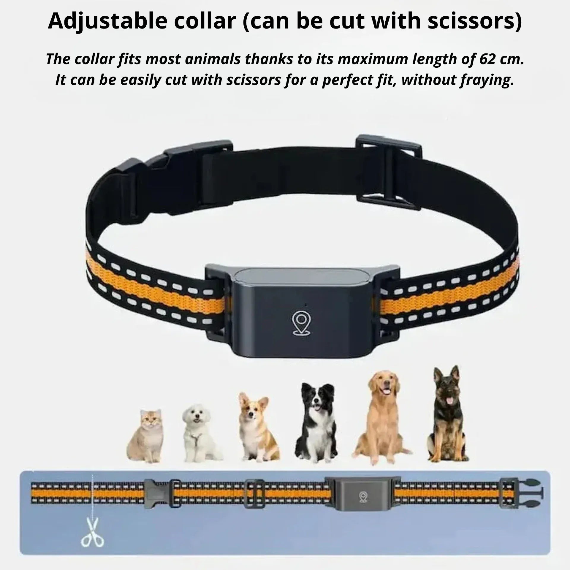 No-Subscription GPS Cat Collar – Zero Fees