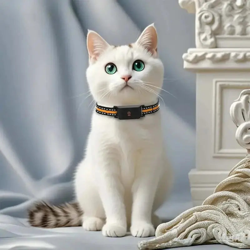 No-Subscription GPS Cat Collar – Zero Fees