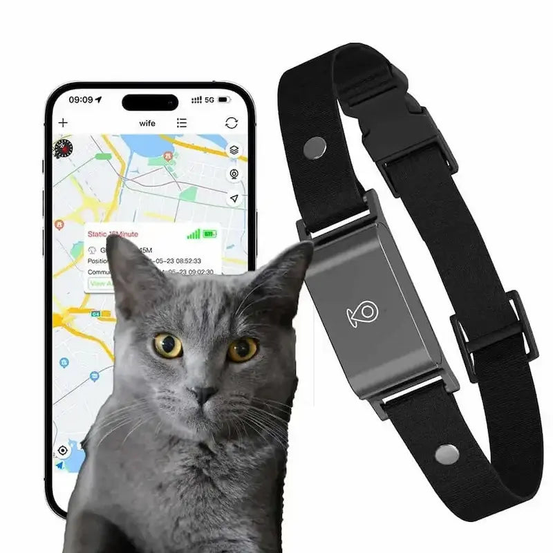 No-Subscription GPS Cat Collar – Zero Fees
