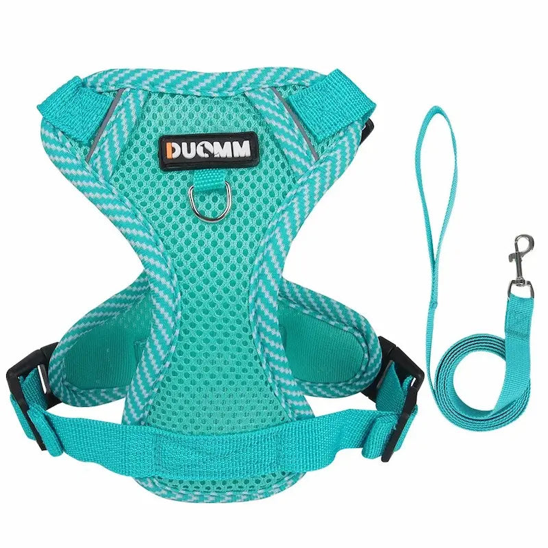 Nylon cat harness