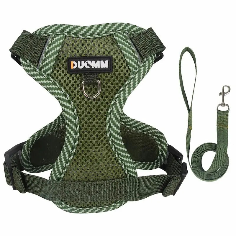 Nylon cat harness
