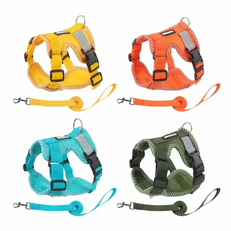 Nylon cat harness