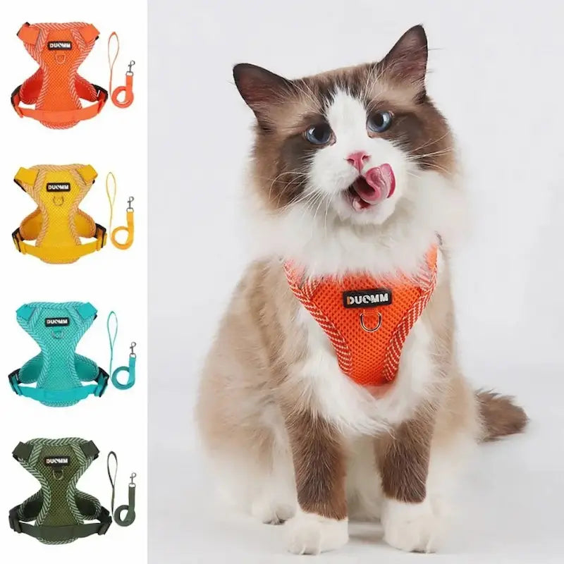 Nylon cat harness