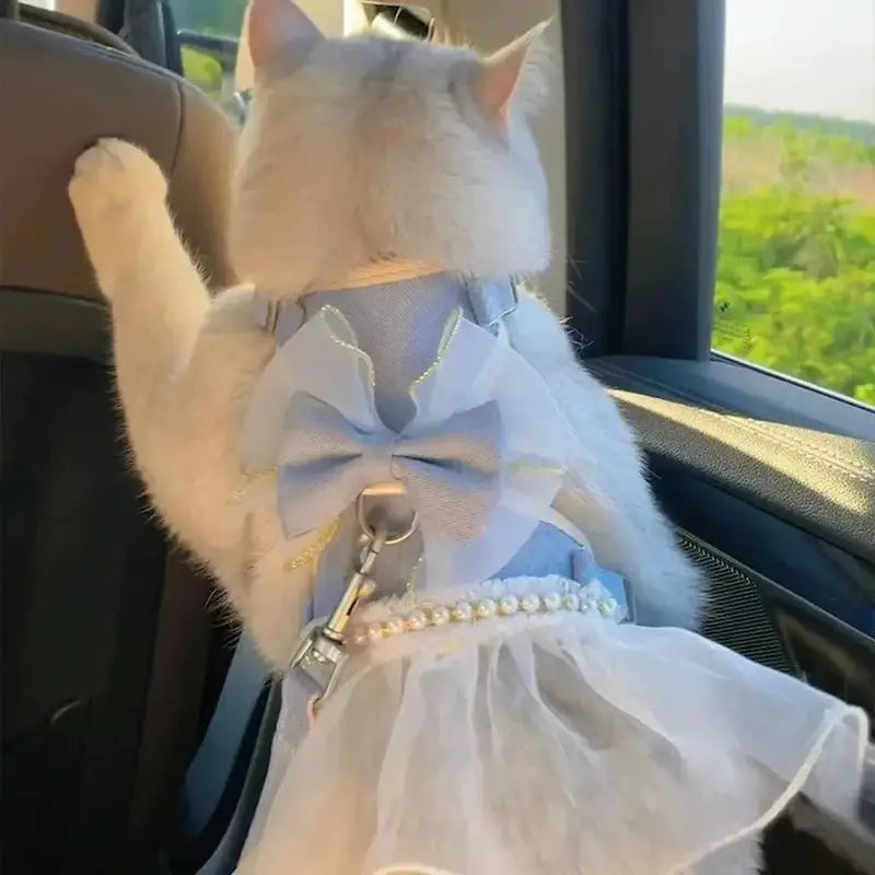 Princess dress cat harness