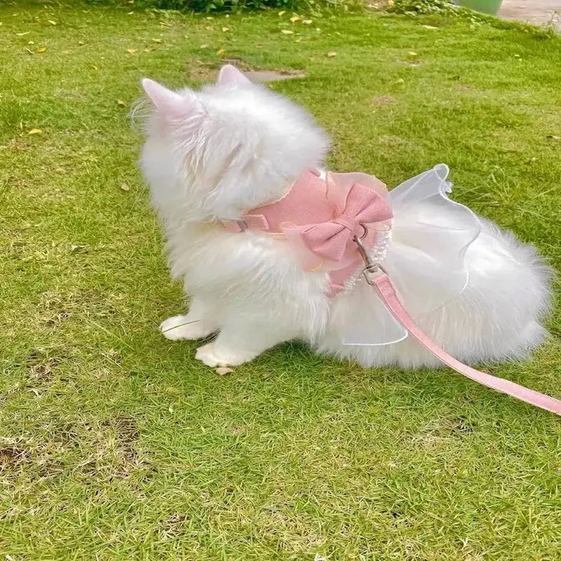 Princess dress cat harness