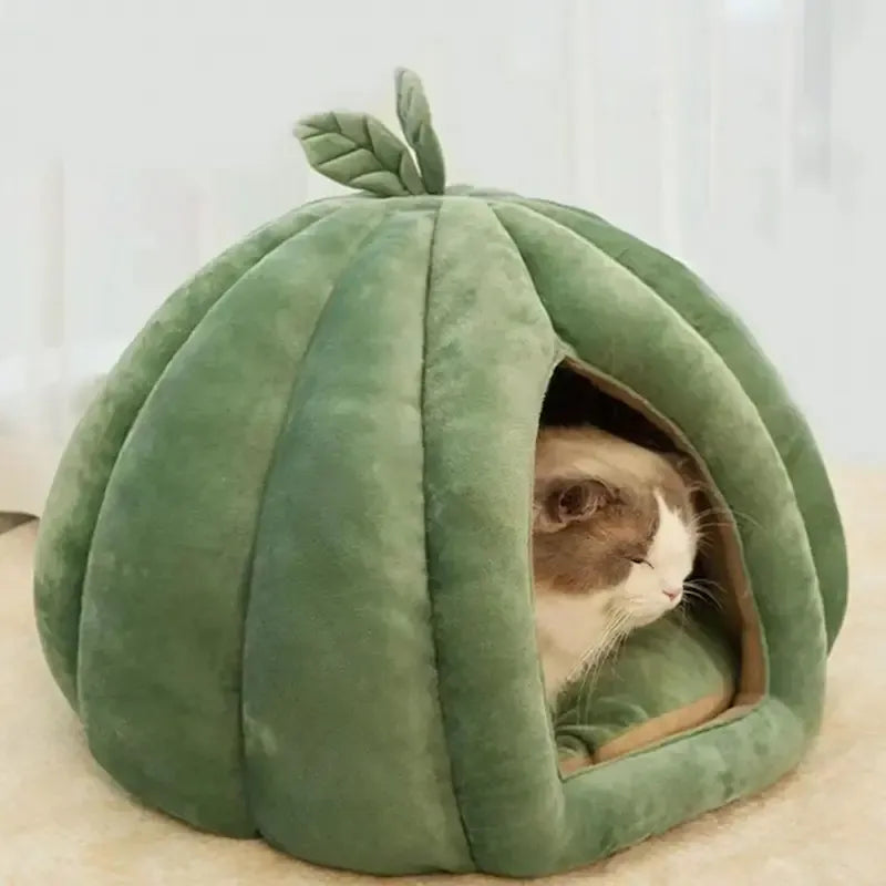 Pumpkin Cat Bed