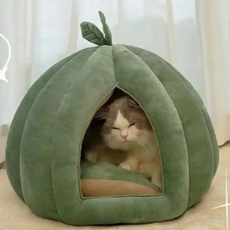 Pumpkin Cat Bed