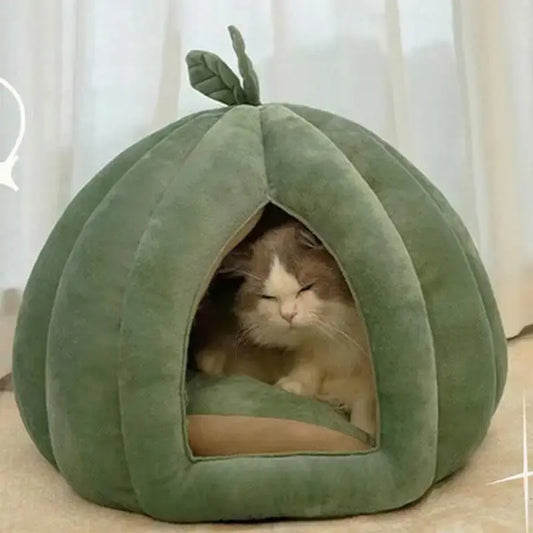 Pumpkin Cat Bed