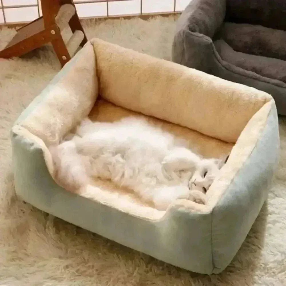 Rectangular Cat Cushion