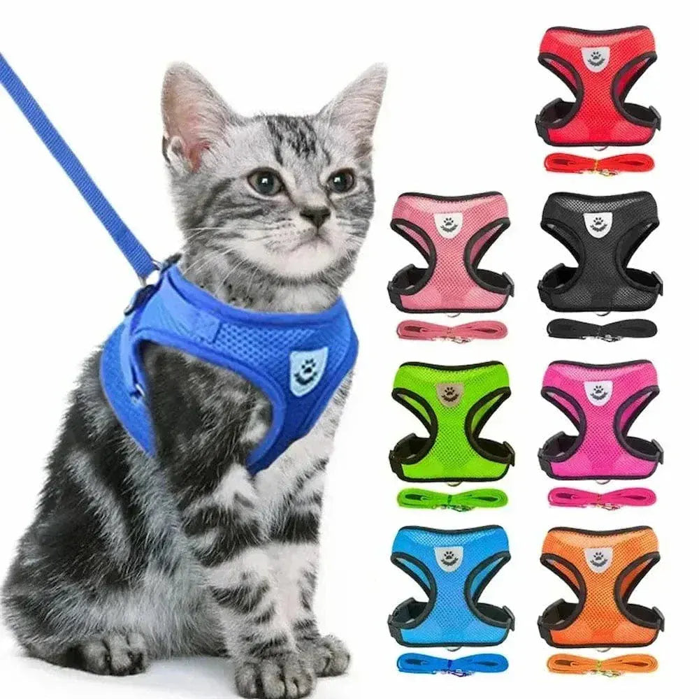 Reflective cat harness