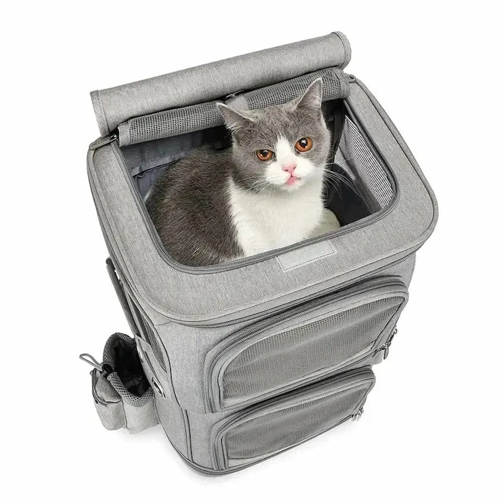 Rolling Cat Carrier for 2 Cats