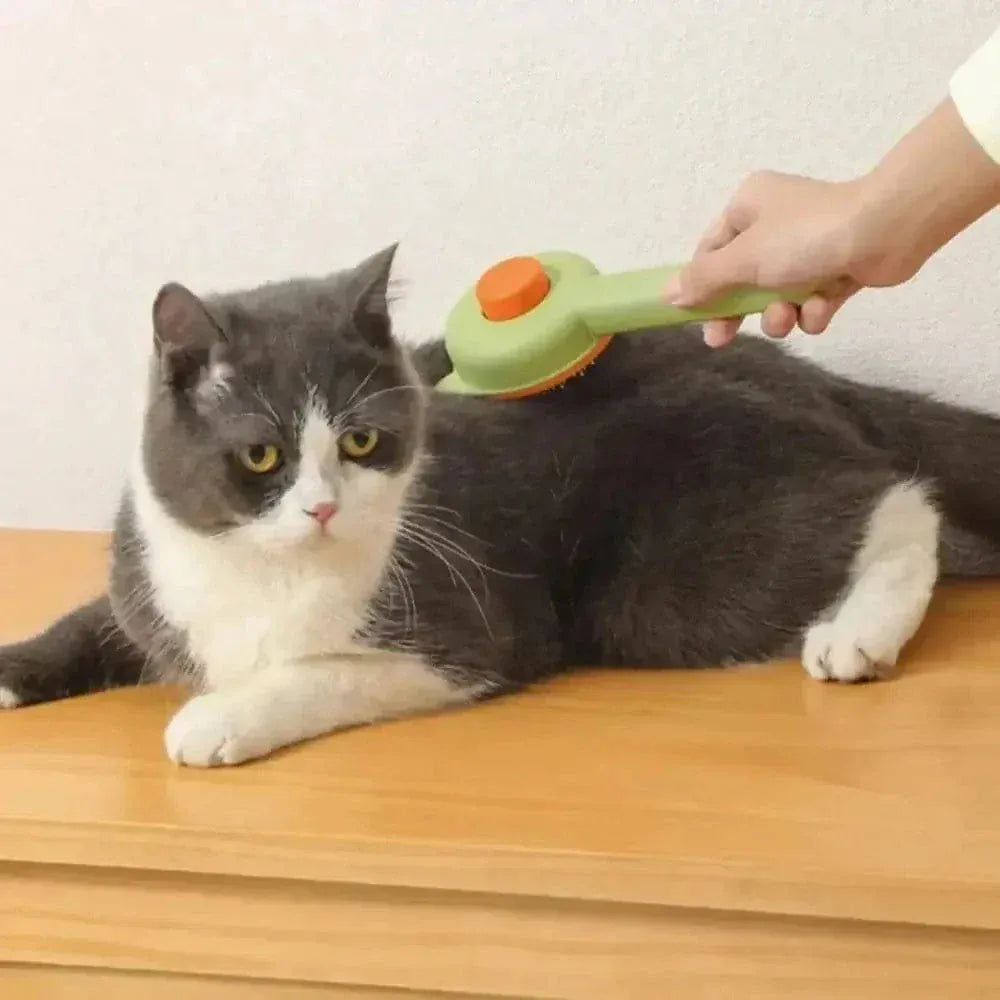 Self-cleaning cat brush