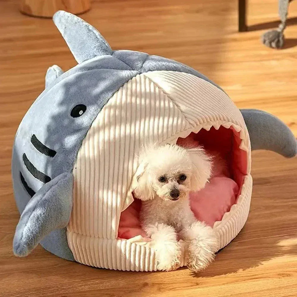 Shark cat bed