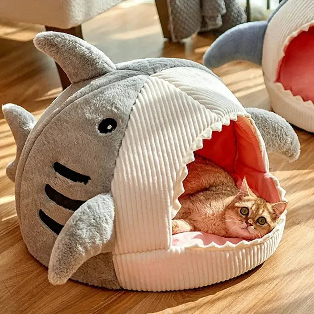 Shark cat bed