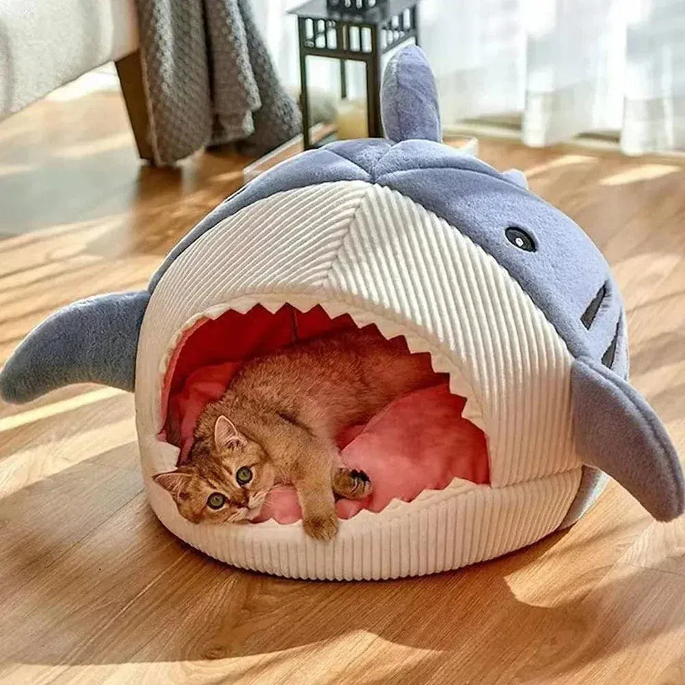 Shark cat bed