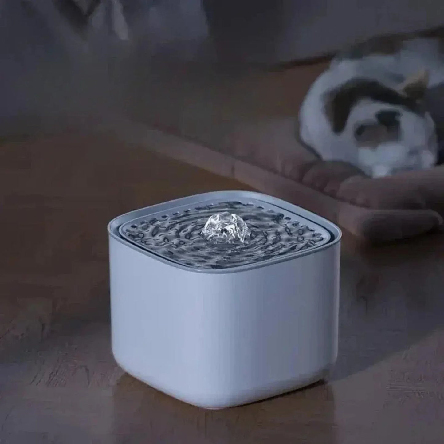 Silent cat water fountain