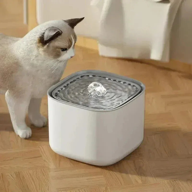 Silent cat water fountain