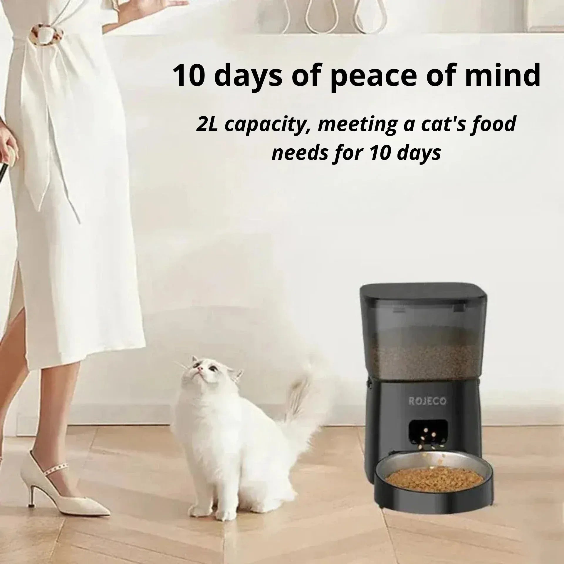 Smart Cat Food Dispenser