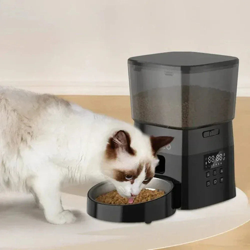 Smart Cat Food Dispenser