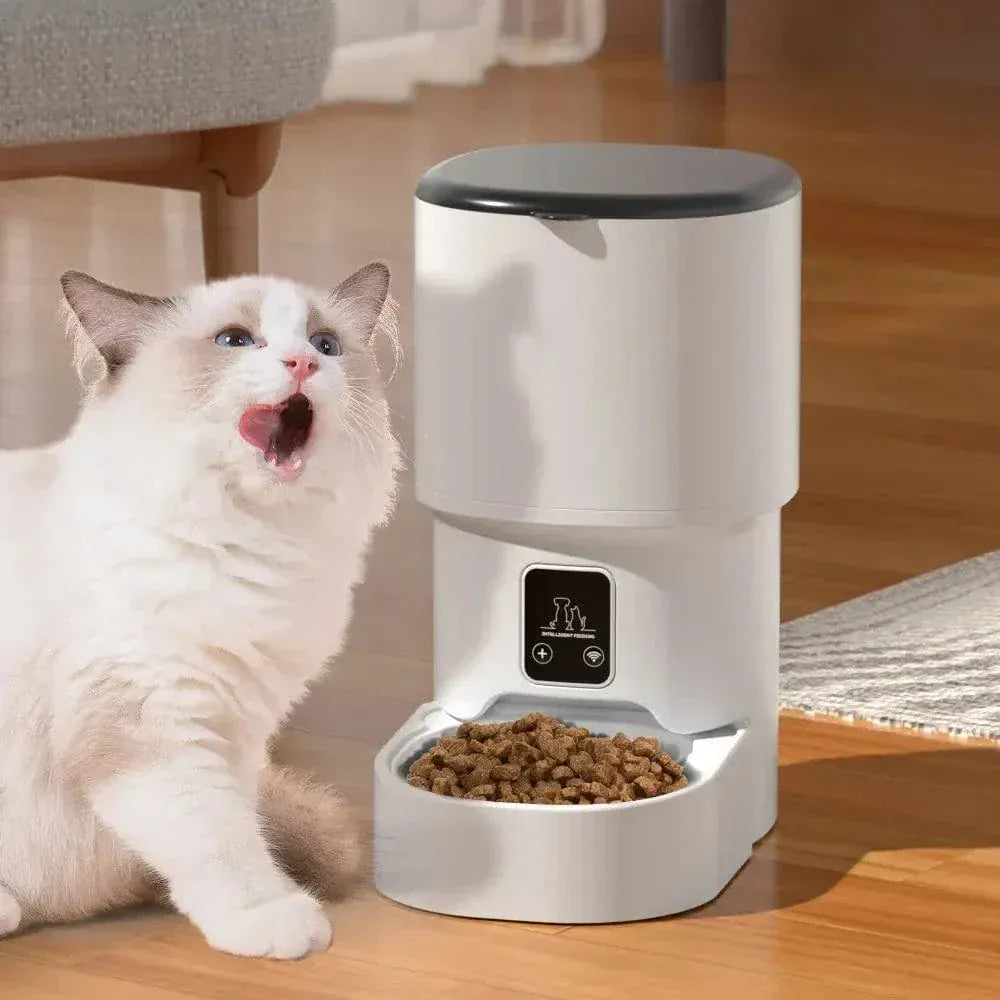 Smart Cat Food Dispenser