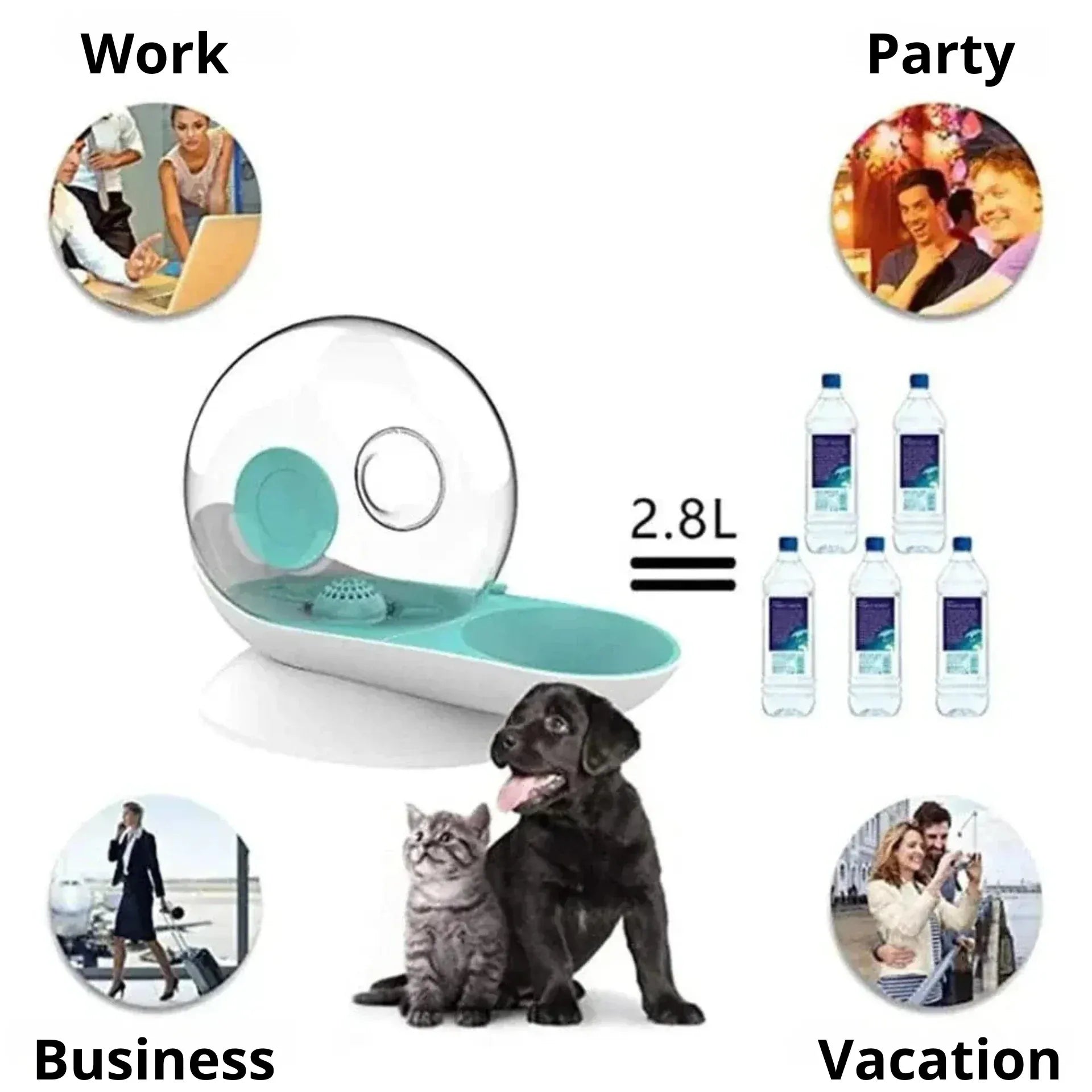 Snail-shaped cat water fountain