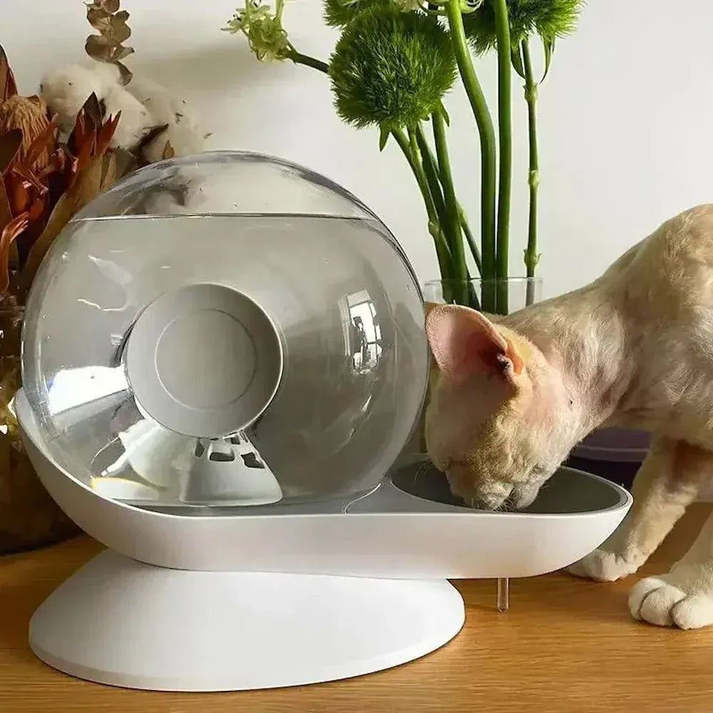 Snail-shaped cat water fountain