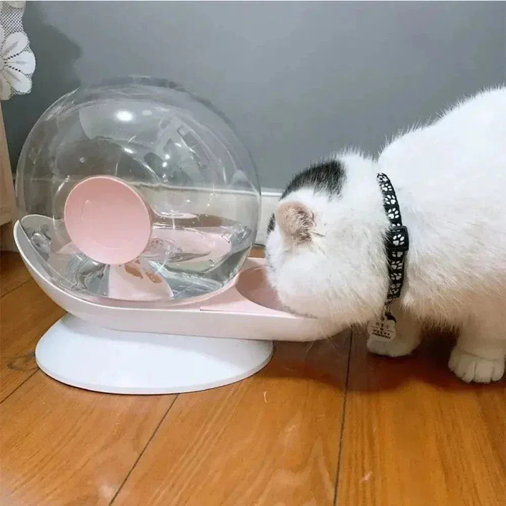 Snail-shaped cat water fountain