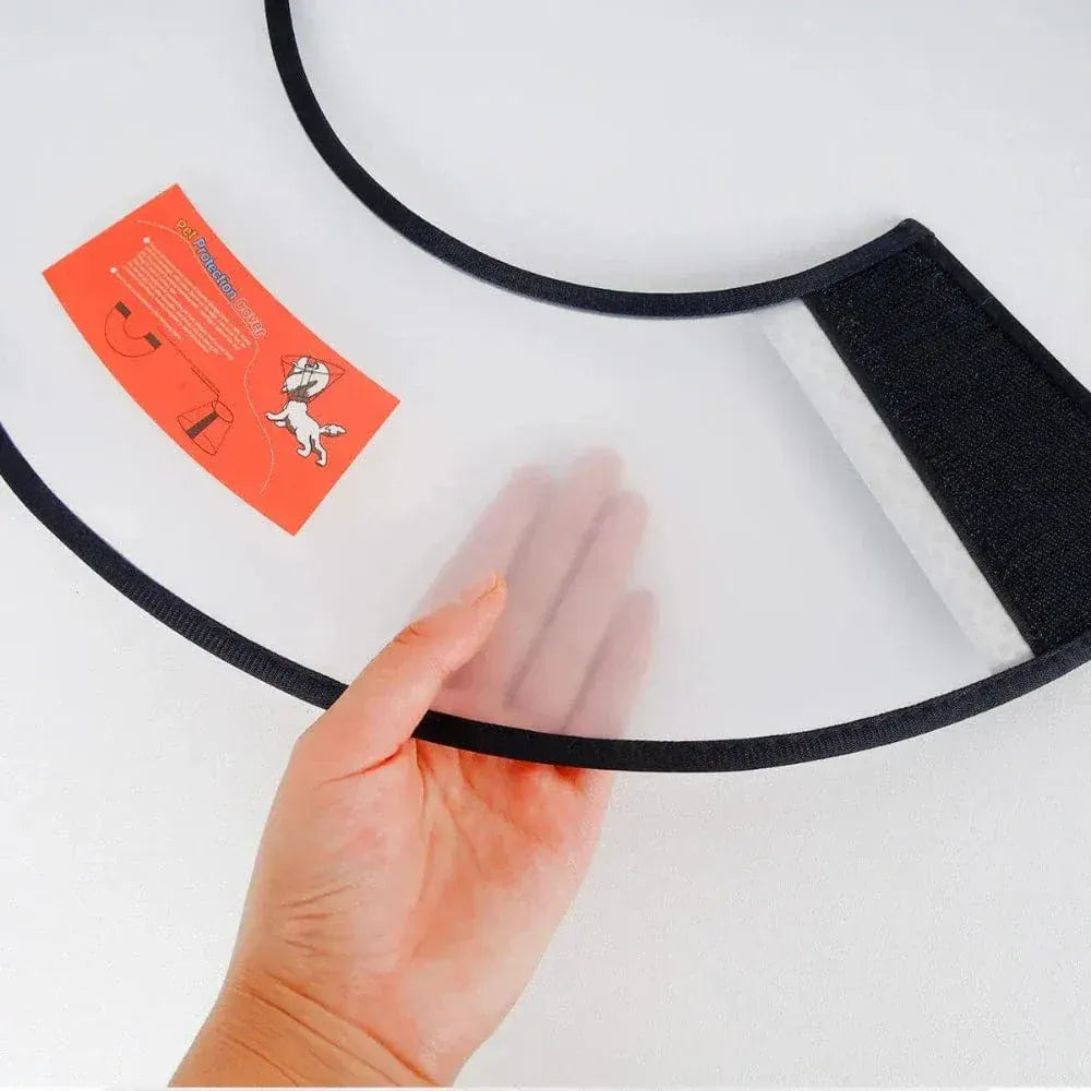 Soft cat recovery collar