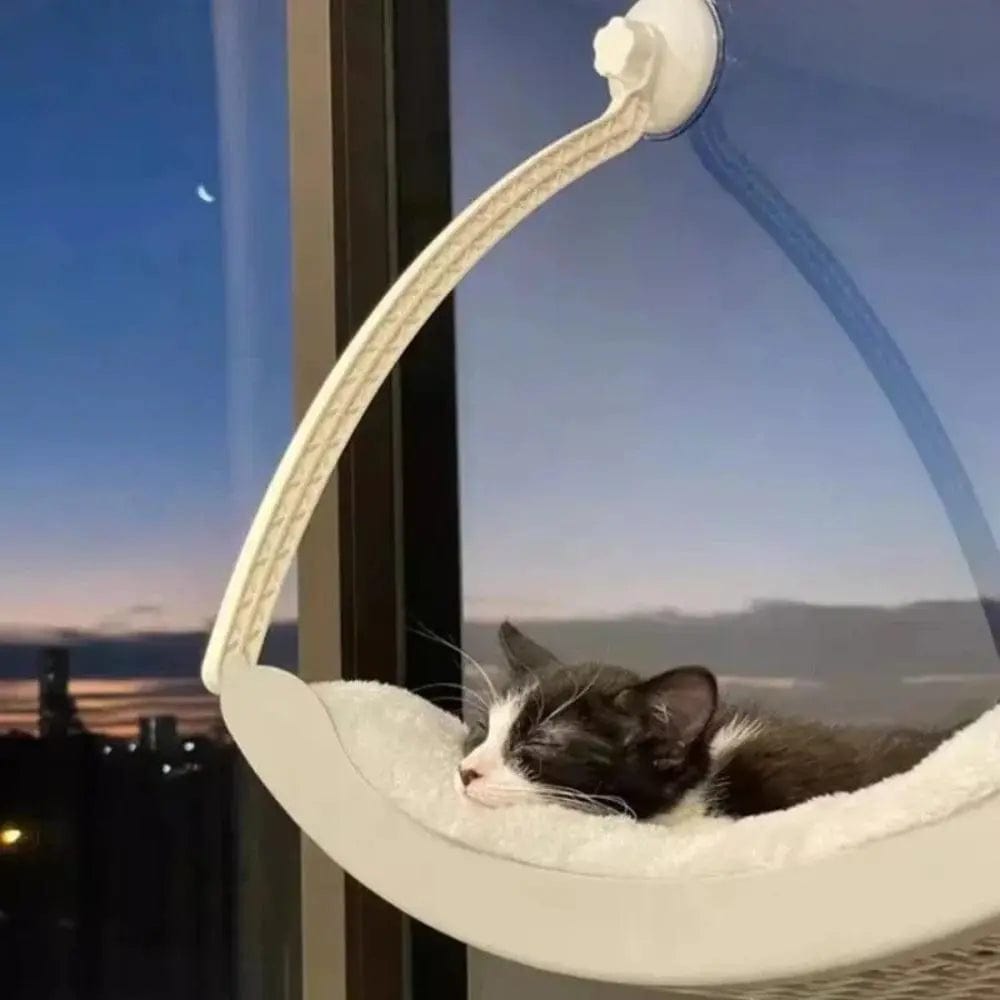 Suction cup cat hammock