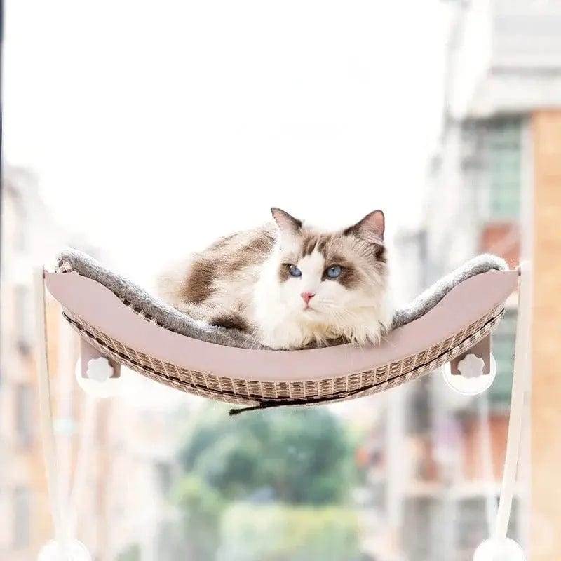 Suction cup cat hammock