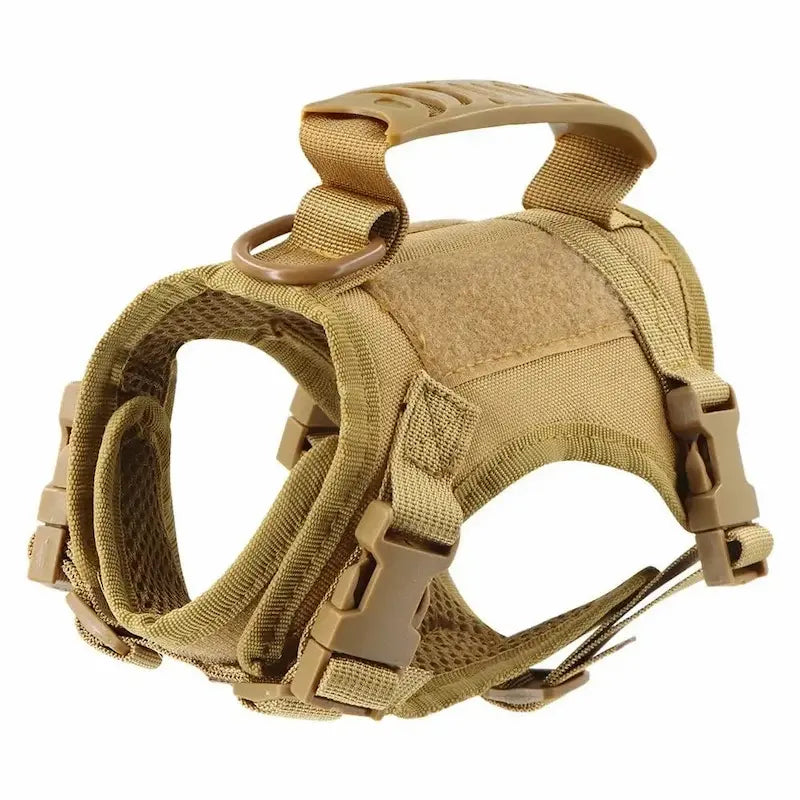 Tactical cat harness