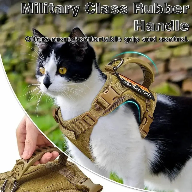 Tactical cat harness