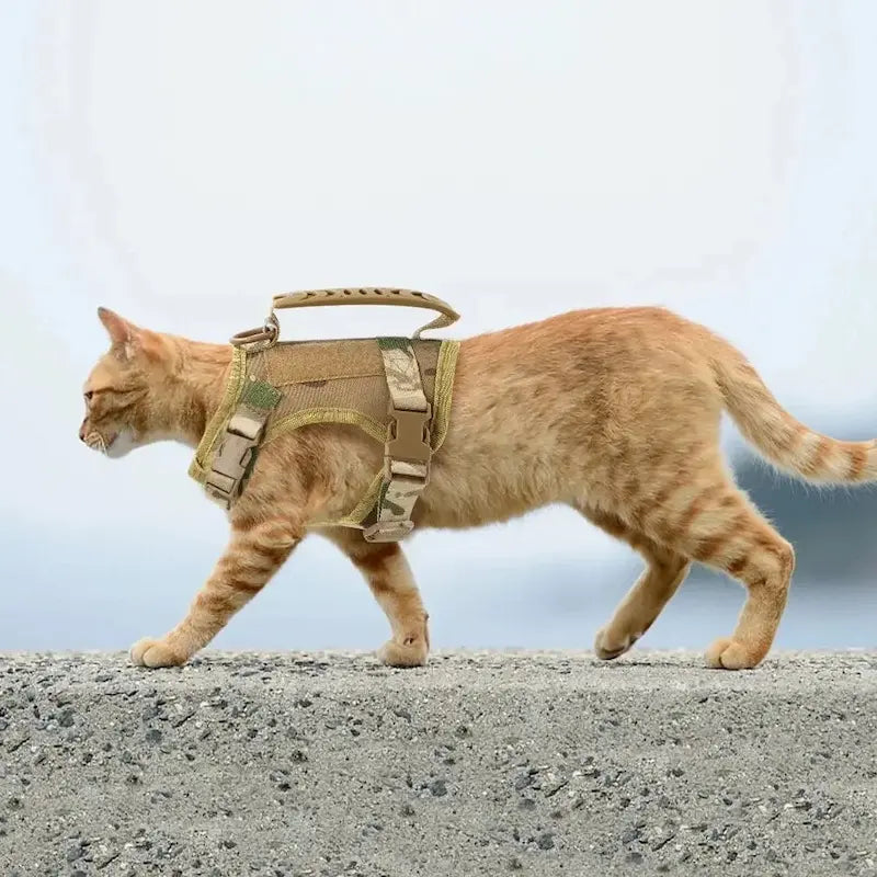 Tactical cat harness