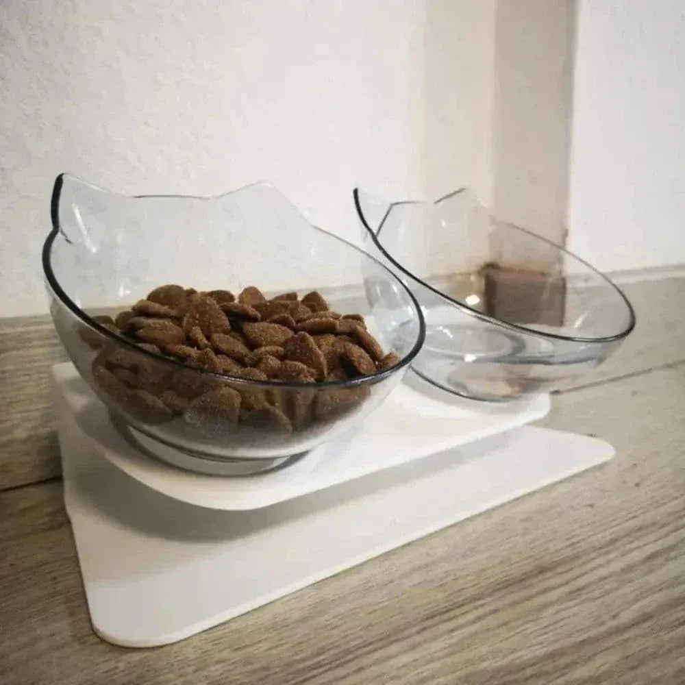 Tilted cat bowl