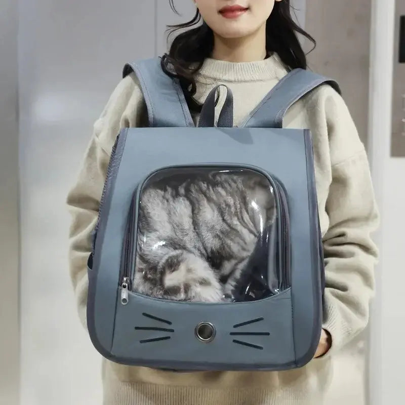 Transparent Cat Backpack