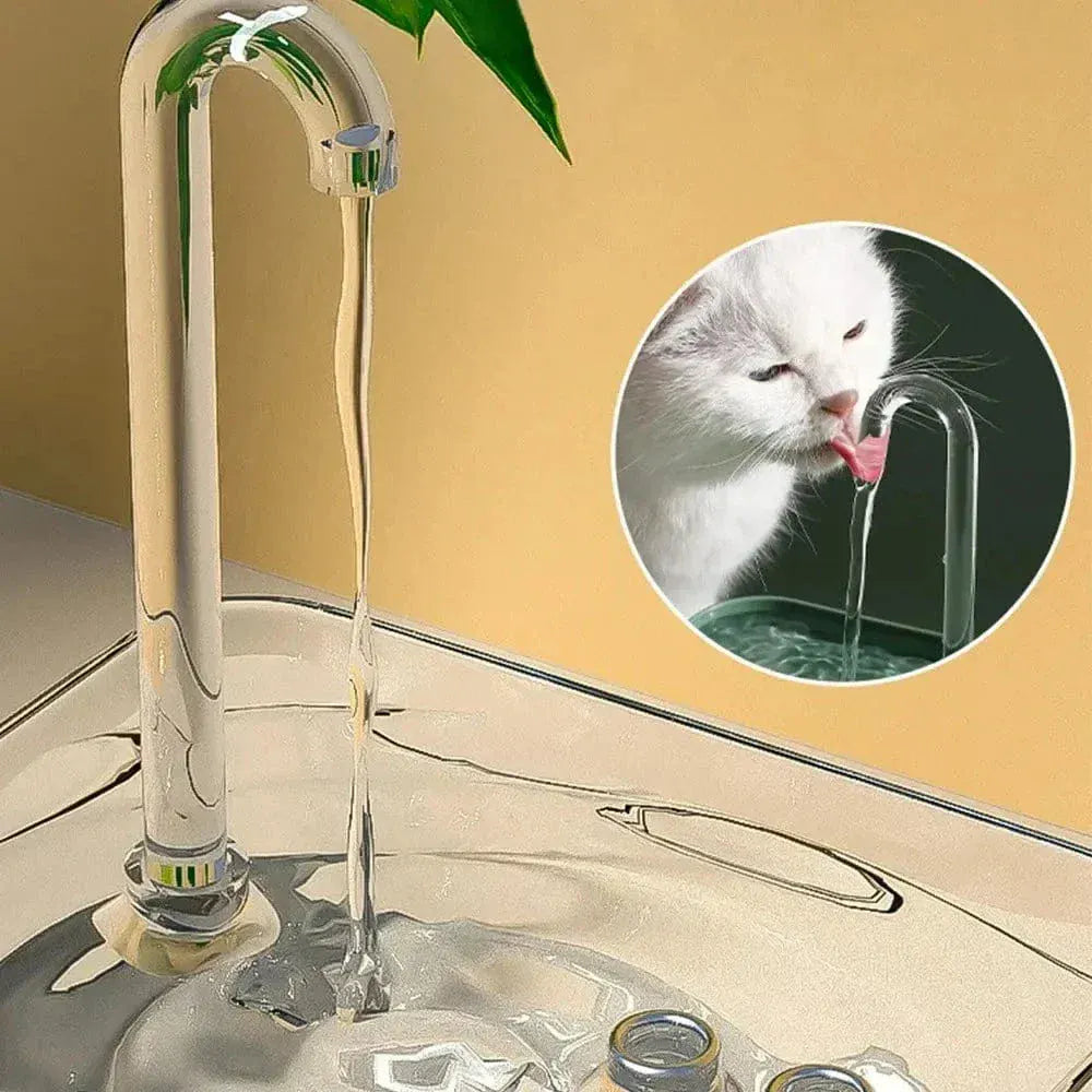 Transparent cat water fountain