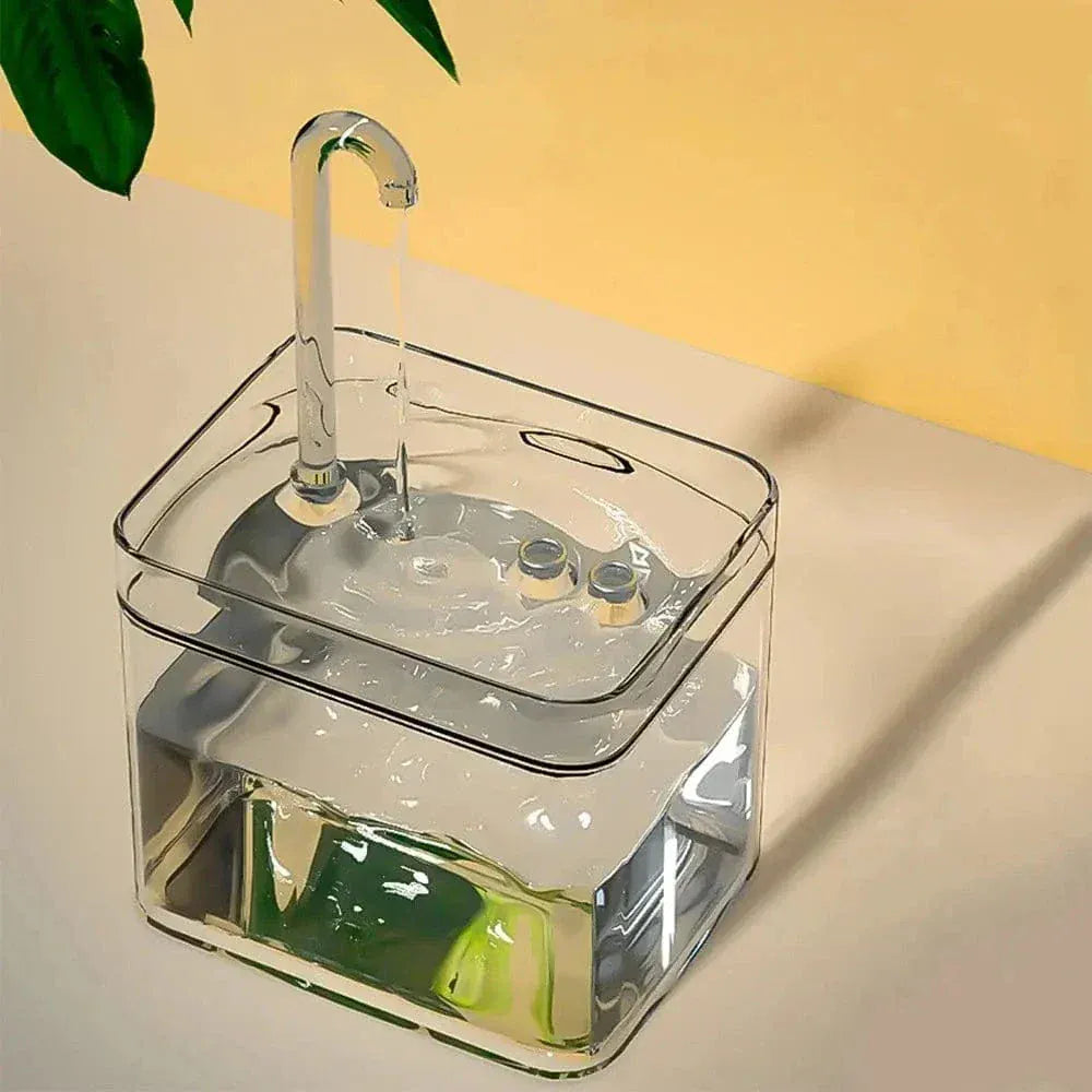 Transparent cat water fountain