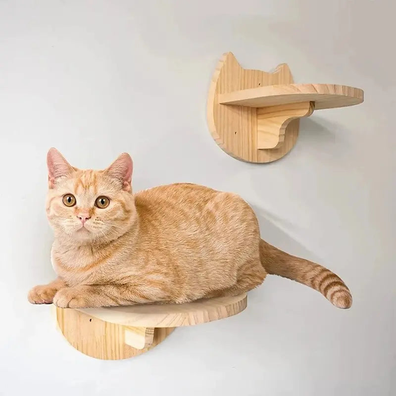 Wall-mounted cat tree