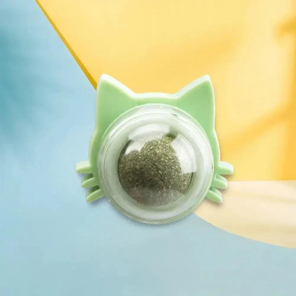 Wall-mounted catnip ball