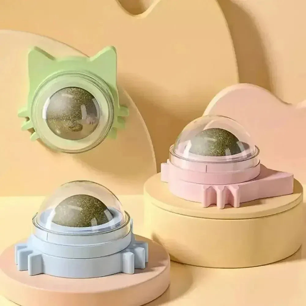 Wall-mounted catnip ball