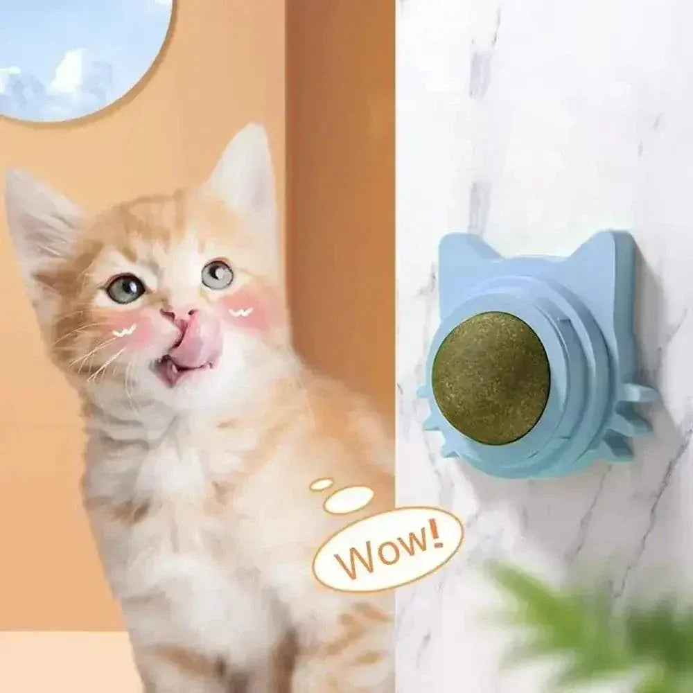 Wall-mounted catnip ball