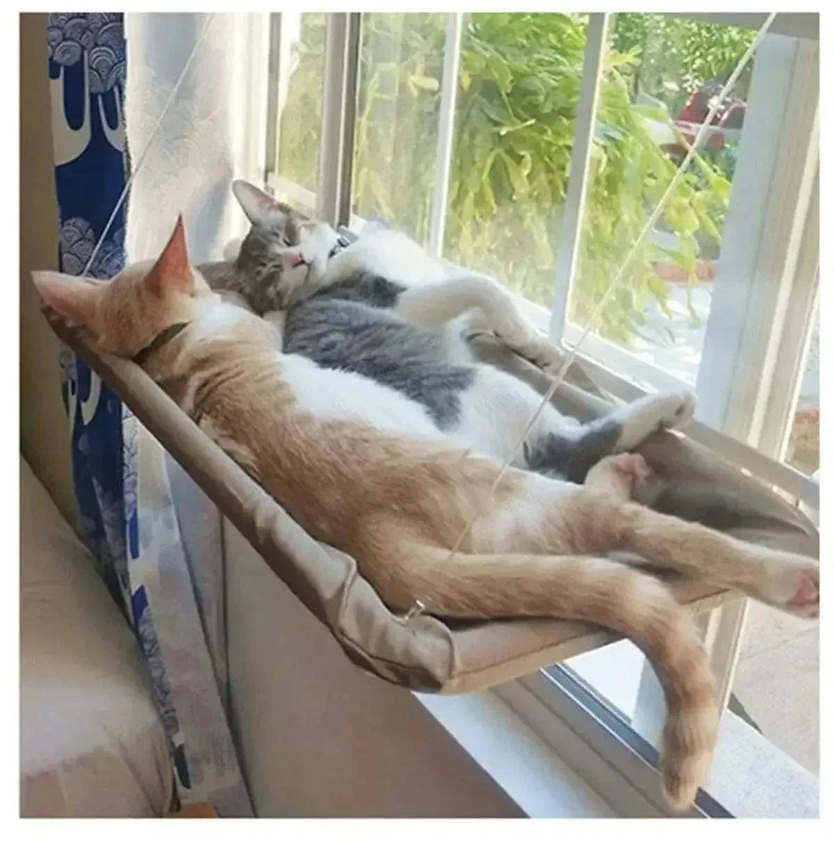 Window cat hammock