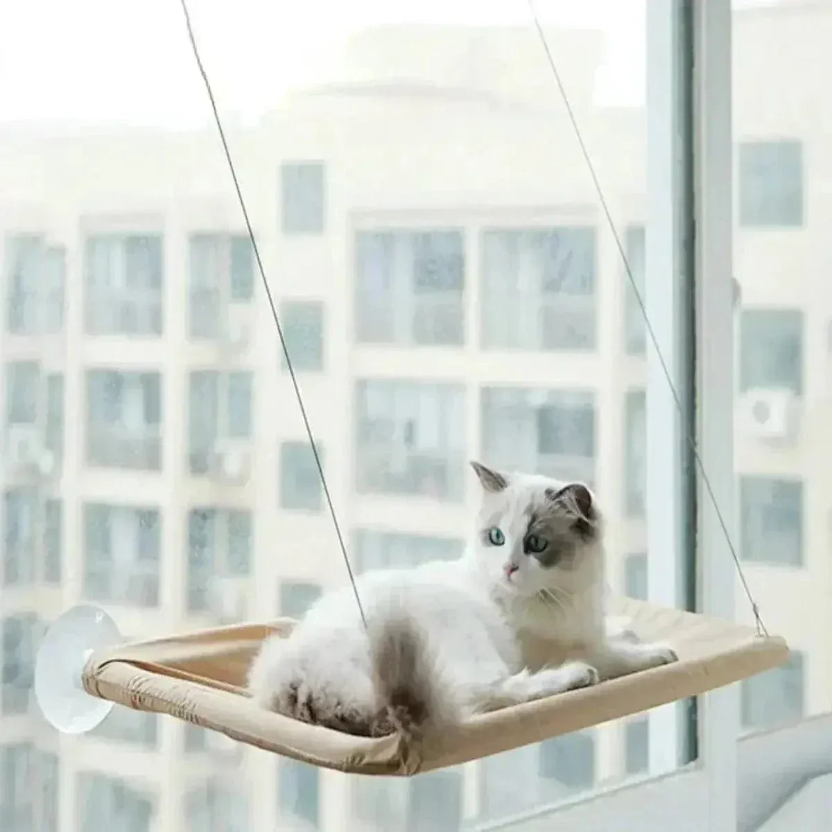 Window cat hammock