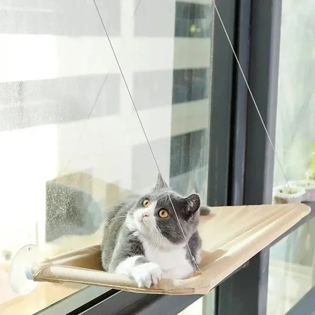 Window cat hammock