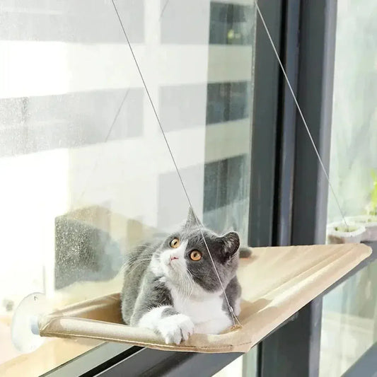 Window cat hammock