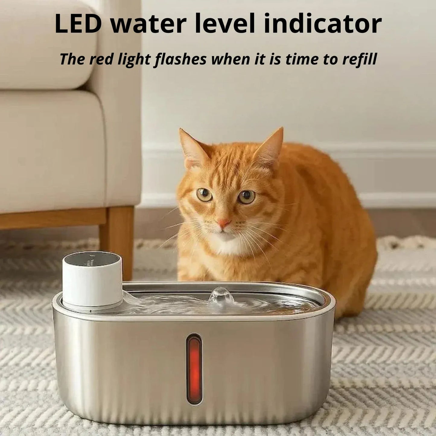Wireless cat water fountain