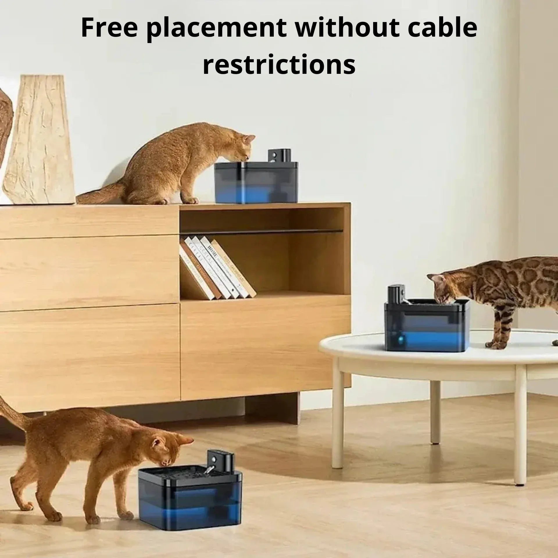 Wireless cat water fountain 30-day autonomy